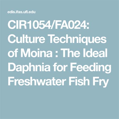 dapya fish|CIR1054/FA024: Culture Techniques of Moina .